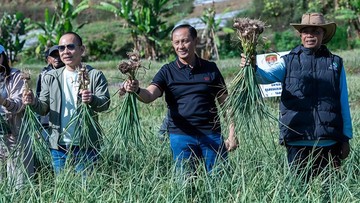 Panen Raya Bawang Putih Lombok Timur: Satgas Pangan Polri Unggulkan Varietas Unggul untuk Swasembada Nasional