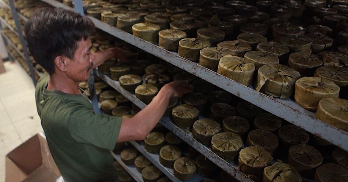 Nian Gao: Manisnya Tradisi, Gurihnya Rezeki di Tahun Baru Imlek!