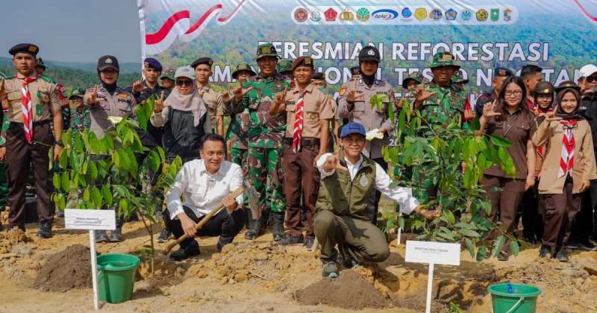 Kemenhut resmi memulai program reforestasi di Taman Nasional Tesso Nilo sebagai bagian dari langkah pemulihan ekosistem hutan di Riau. foto: Kemenhut