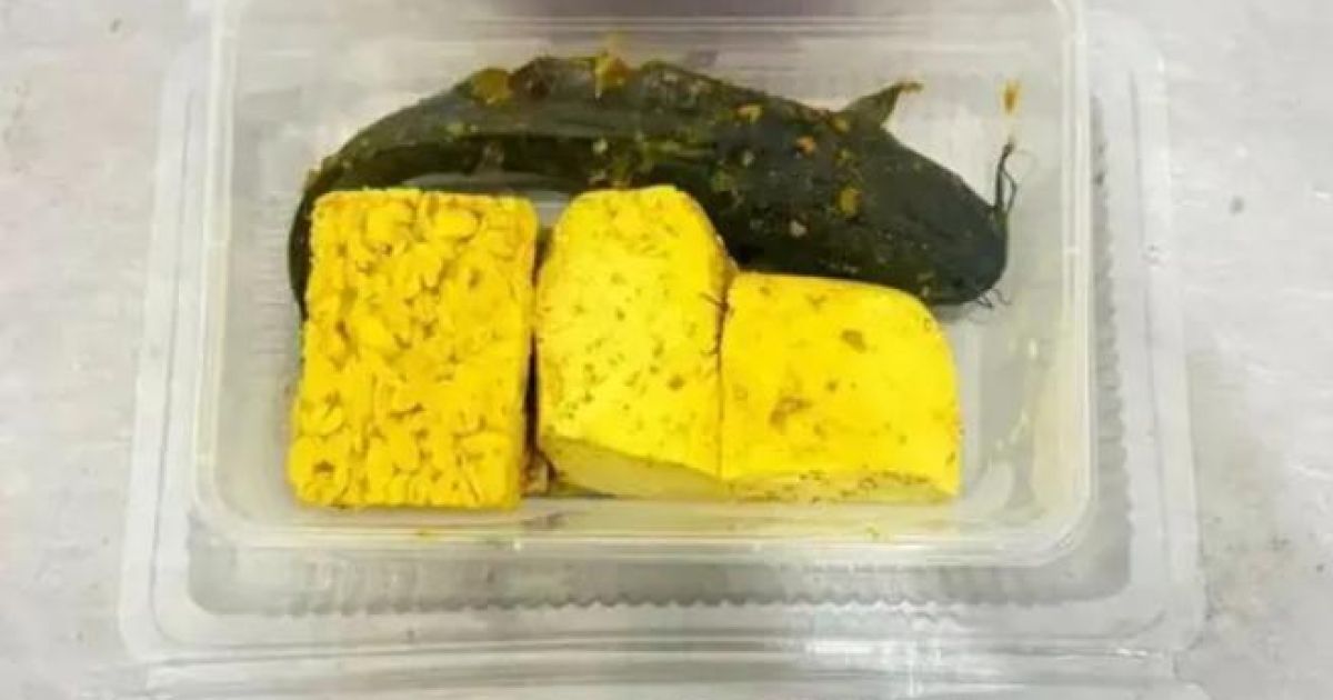 Viral Menu MBG Berisi Lele Mentah di Pamekasan, BGN Buka Suara: Ini Fakta Lengkap yang Sebenarnya Terjadi