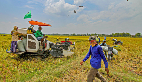 Menjelang Idulfitri, Pemerintah Jamin Stok Bahan Pokok Nasional Melimpah Ruah