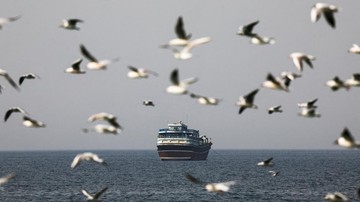 Kapal melintas di Selat Hormuz (dok. REUTERS/Amr Alfiky)