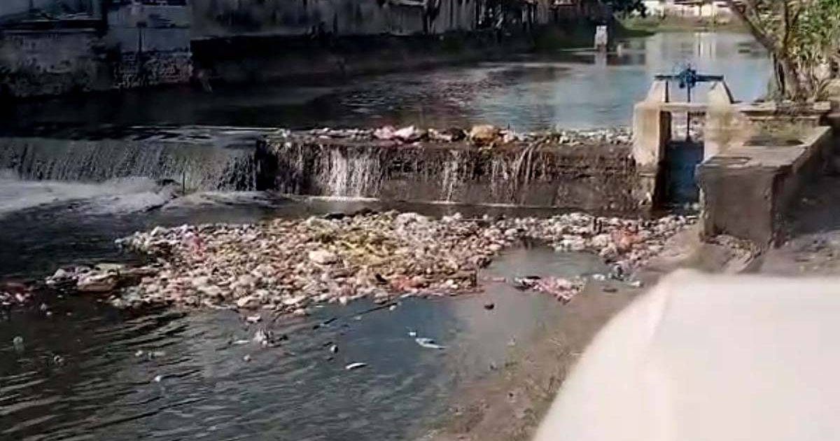 Sampah Ditolak, Dibakar Dipidana: Warga Bali Diapit Aturan, Solusi Pemerintah Belum Jelas