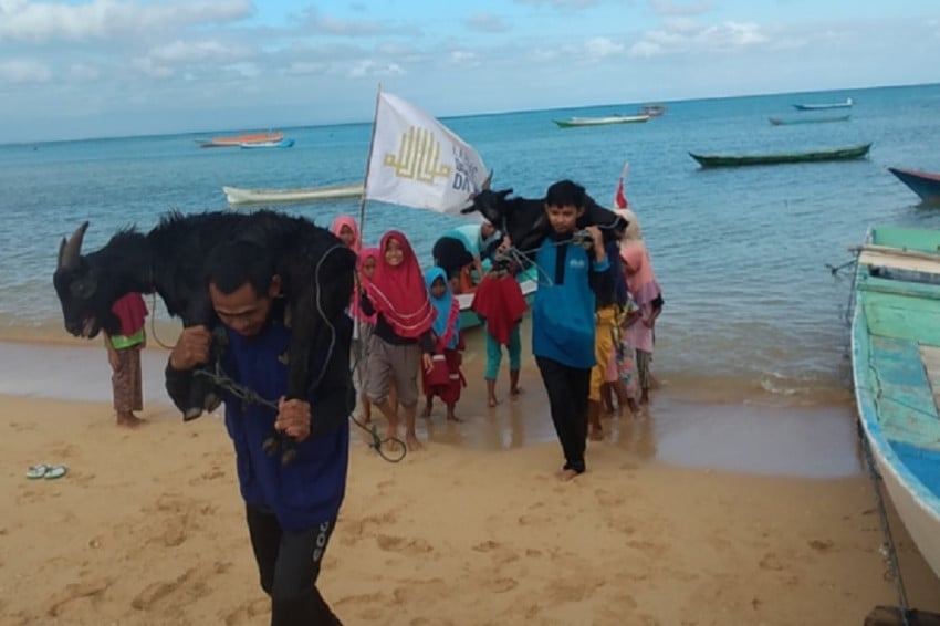 Laznas Dewan Dakwah meluncurkan program Kurban 1447 Hijriah yang menjadi simbol optimisme umat, dan memperluas distribusi kurban ke wilayah terpencil dan mancanegara. Foto/Ist