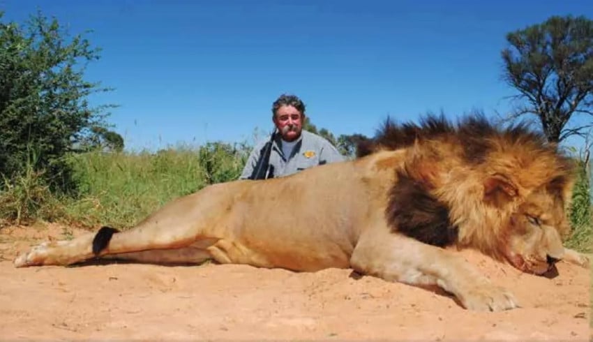 Ernie Dosio tewas karena terinjak-injak gajah saat berburu kijang punggung kuning. Foto/The New York Post