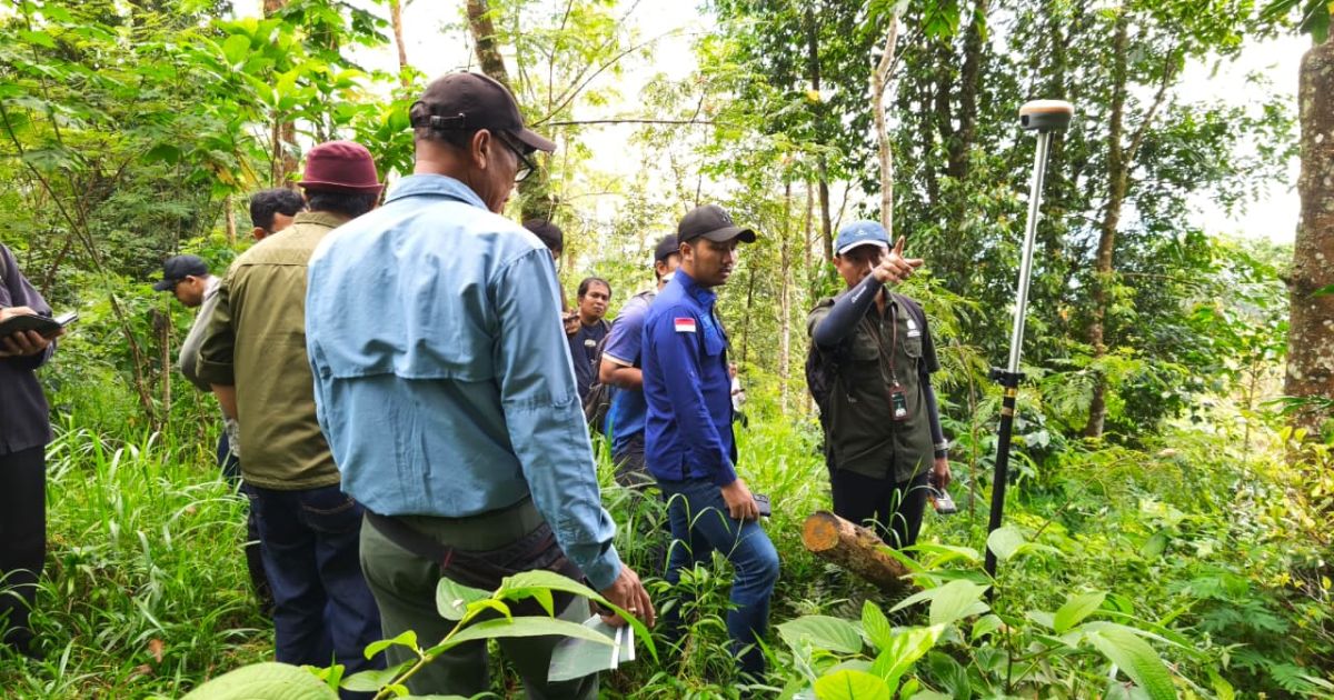 40 Hektare Tanpa Jejak: Sertifikat BTID Tidak Pernah Ada, Mangrove Bali Ditukar dengan Hutan?
