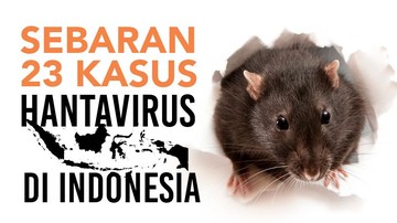Foto: infografis detikHealth