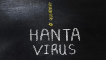 Foto: Ilustrasi hantavirus (Getty Images/ninitta)