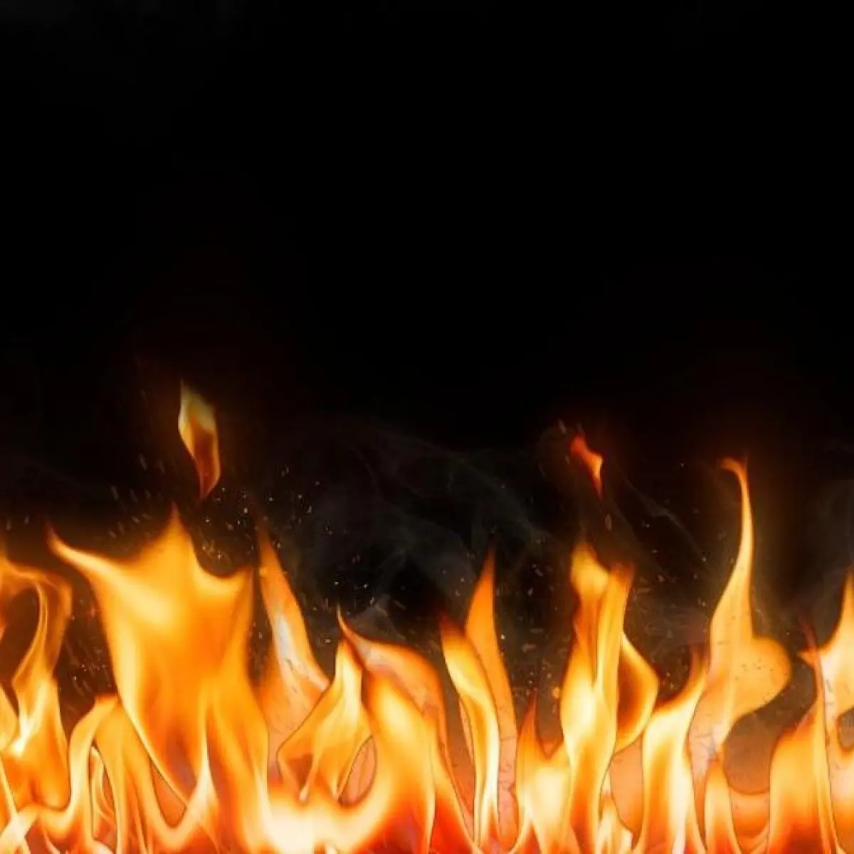 Musibah Tragis di Lembang: Kelalaian Bakar Sampah Lenyapkan 30 Domba Kurban Senilai Ratusan Juta