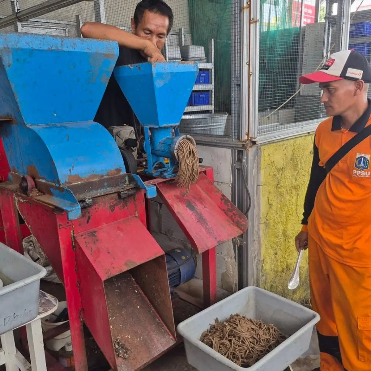 Proses pengolahan sampah di Bank Sampah Cemara, Koja, Jakarta Utara, Kamis (14/5/2026).(KOMPAS.com/ SHINTA DWI AYU)