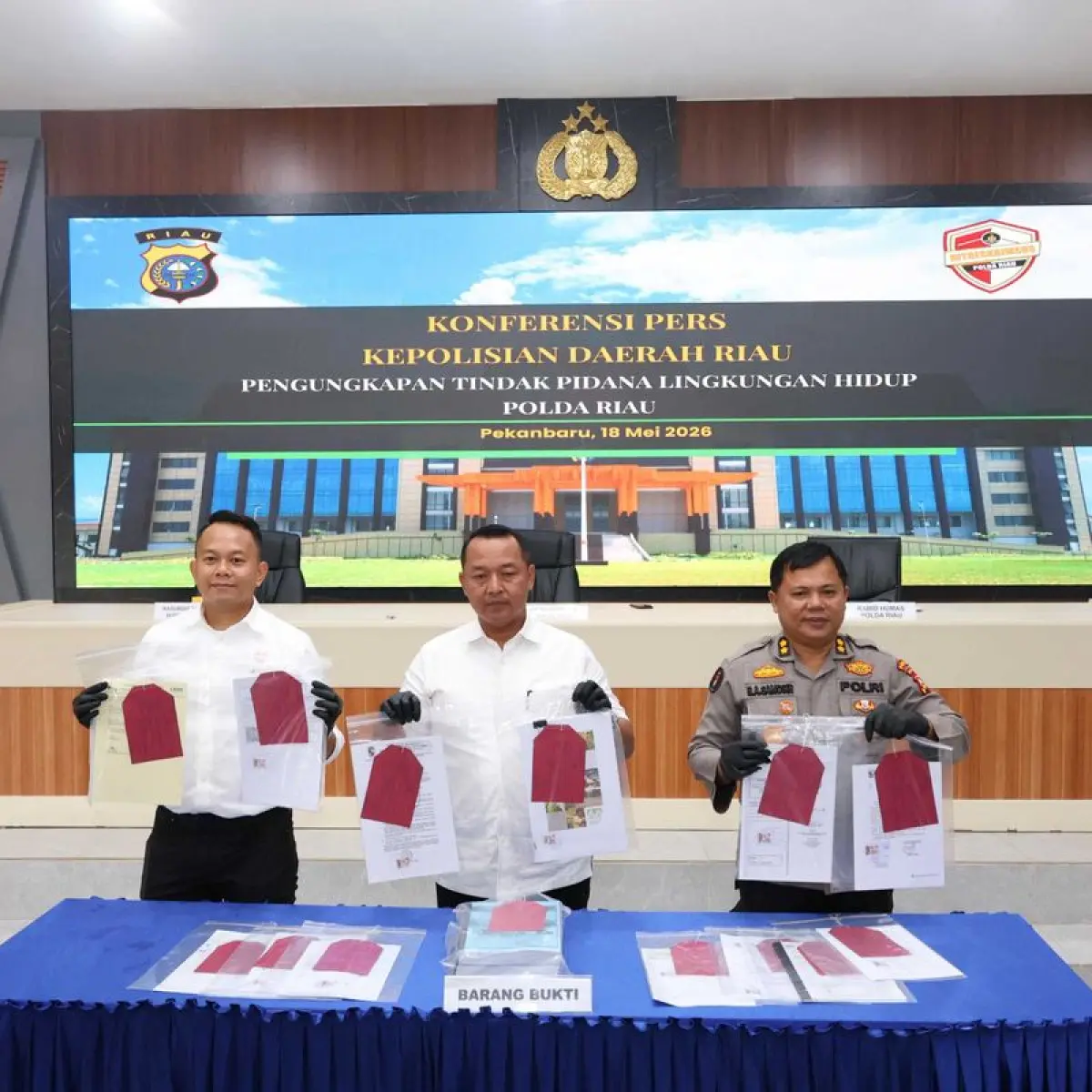 Polda Riau menetapkan perusahaan perkebunan kelapa sawit PT Musim Mas sebagai tersangka korporasi .(Dok.Istimewa)
