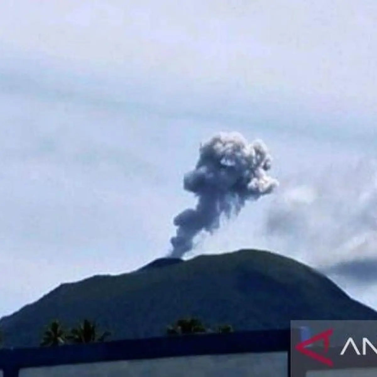 Foto: Gunung Ibu menyemburkan abu vulkanik setinggi hingga 600 meter dari atas puncak gunung, Jumat (26/12/2025). ANTARA/HO-PGA Gunung Ibu