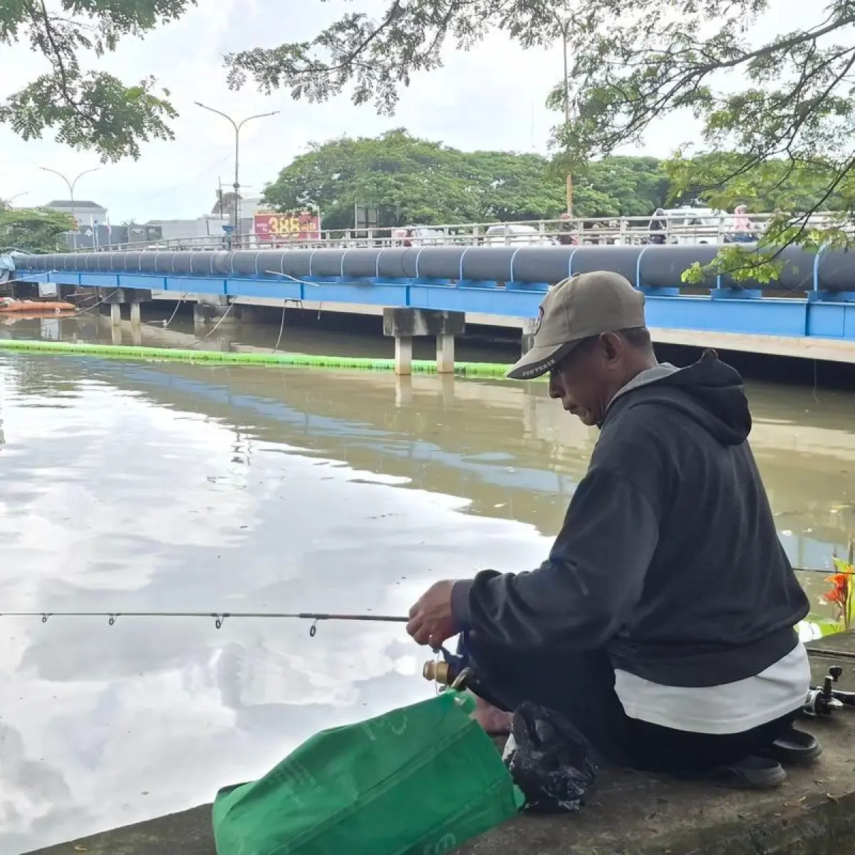 Ancaman Spesies Invasif: Ikan Sapu-Sapu Dominasi Ekosistem Kali Ciliwung Jakarta