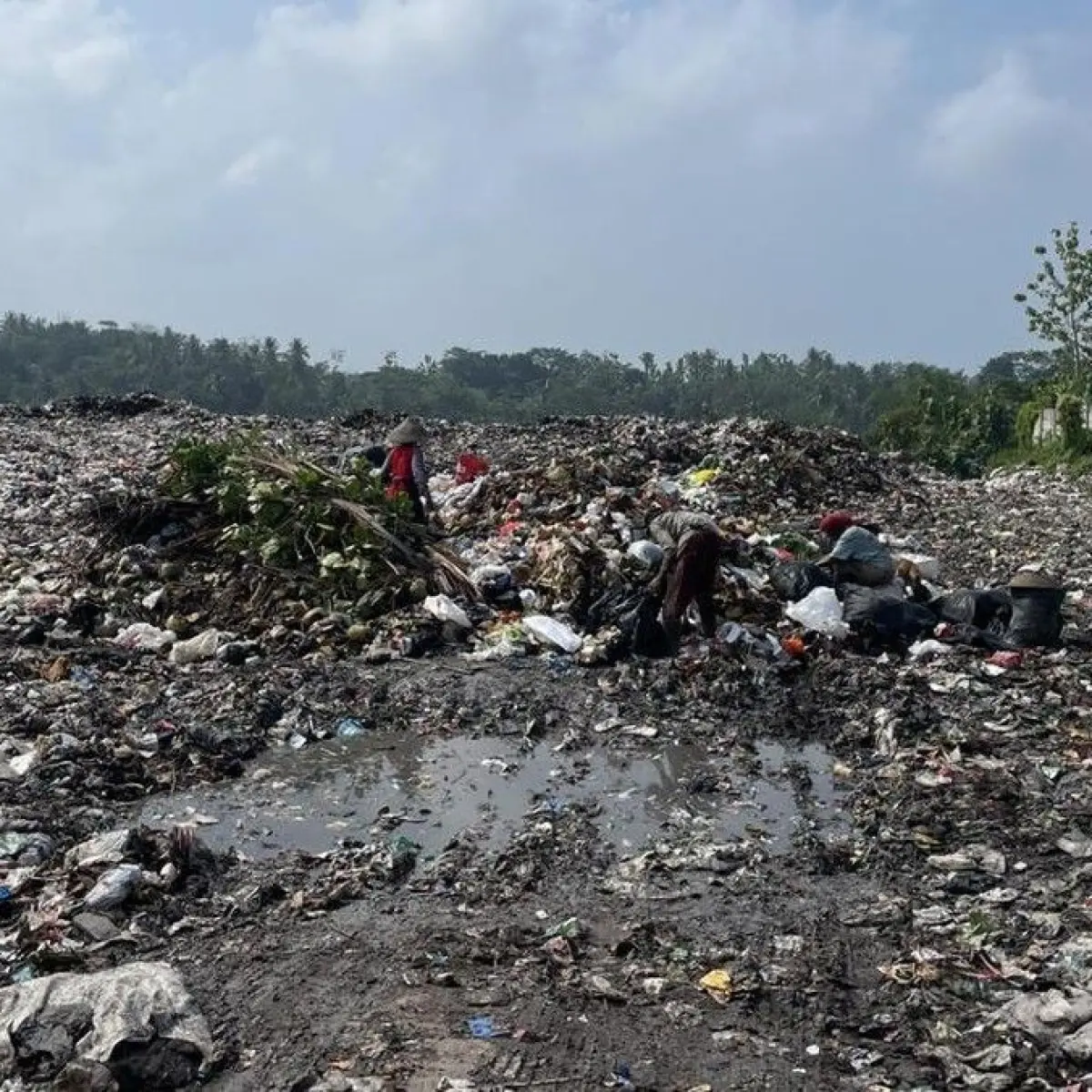 Kondisi TPA Purbahayu Pangandaran (Foto: Aldi Nur Fadillah/detikJabar)