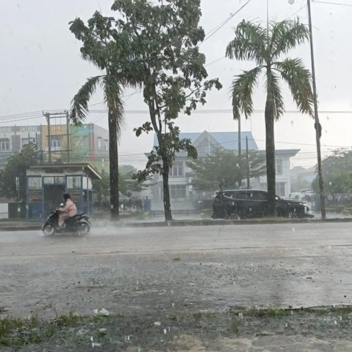 Ilustrasi hujan. Simak prakiraan cuaca hari ini. Foto: Reiza Pahlevi/detikcom
