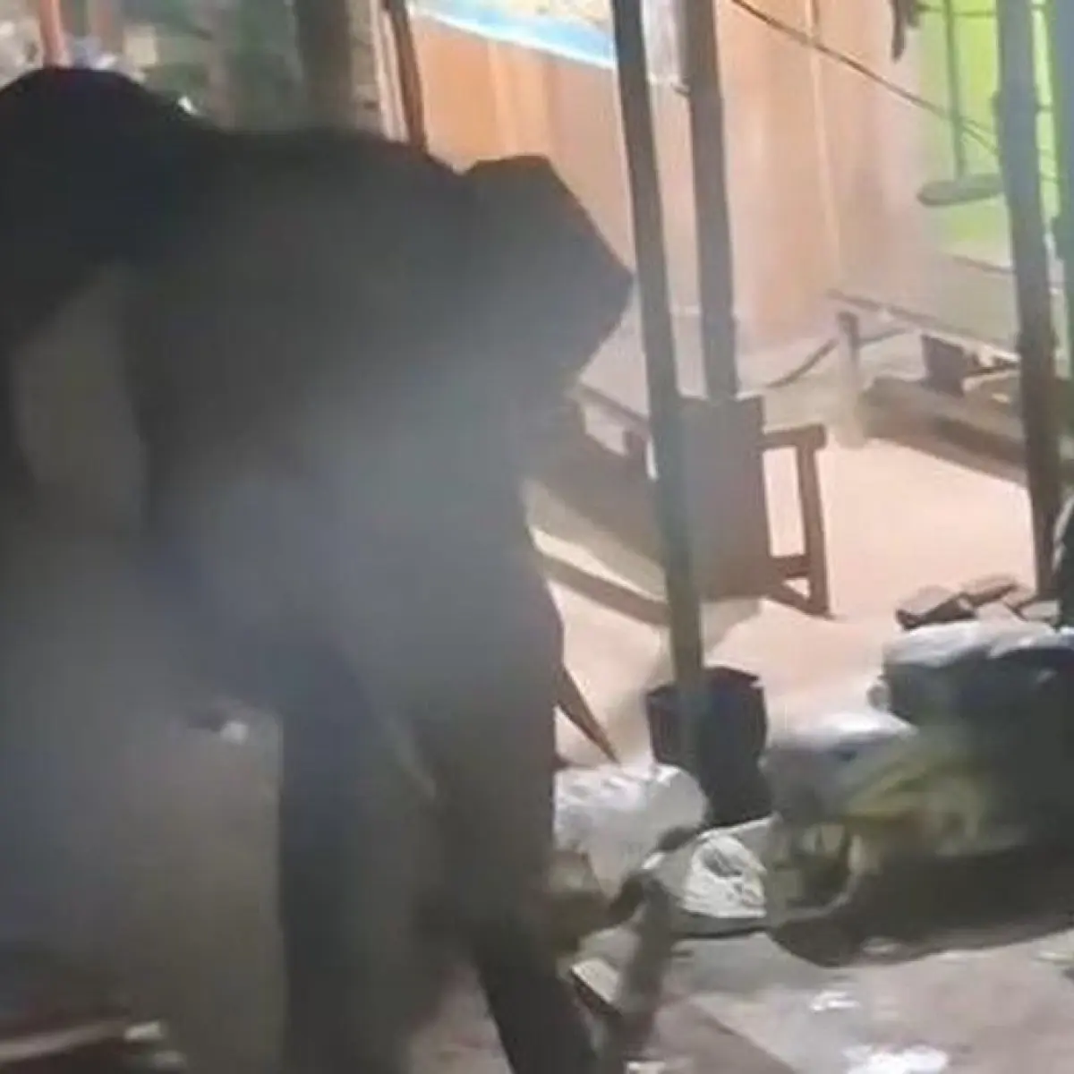 2 Gajah liar masuk ke pasar di OKI (Istimewa/Tangkapan Layar)