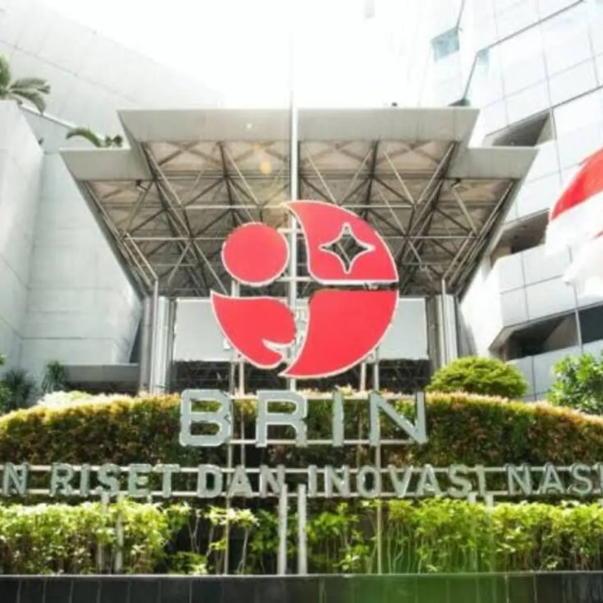 Sorotan BRIN: 29 Spesies Tumbuhan Baru Teridentifikasi, Bukti Kekayaan Flora Indonesia yang Belum Terungkap