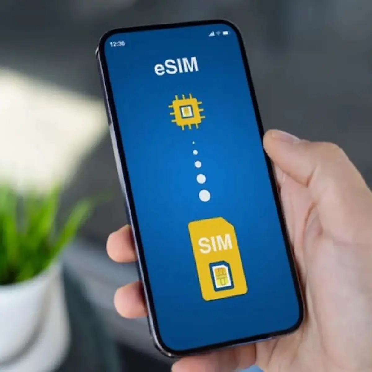 Perbandingan mendalam eSIM vs SIM fisik untuk pengguna Android.(Dok. Yahoo Tech)