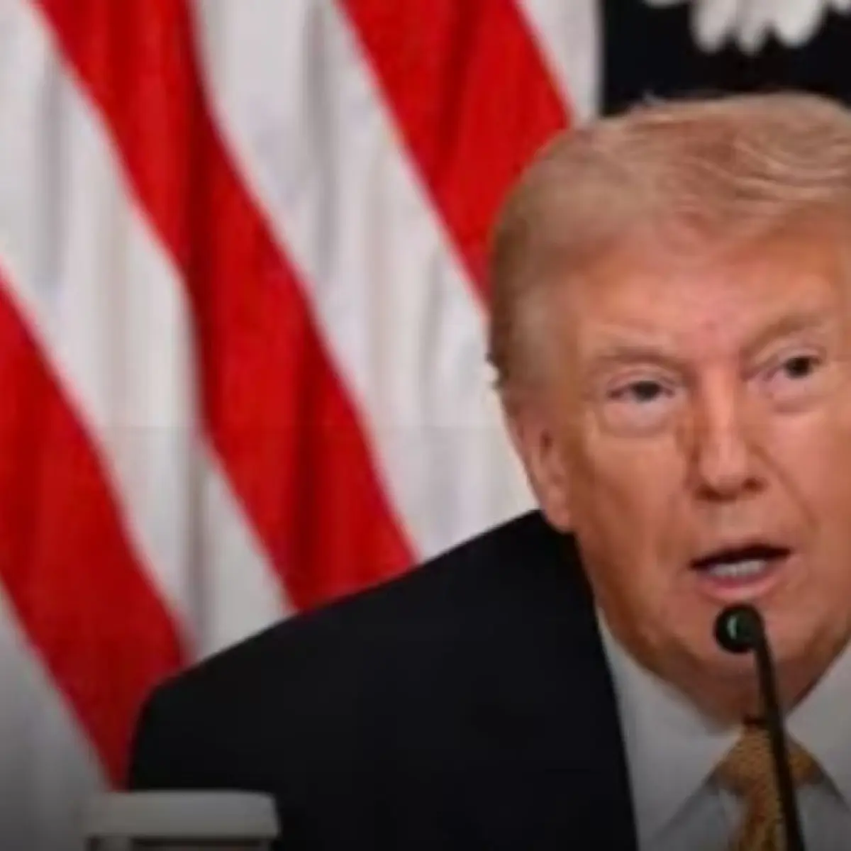Donald Trump.(Al Jazeera)