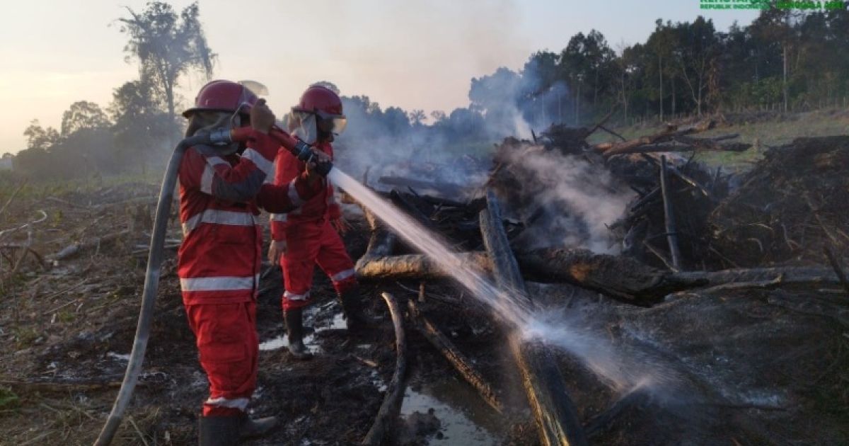 Kementerian Kehutanan melalui Balai Dalkarhut Sumatera dan Dirjen Gakkum memperkuat operasi pemadaman karhutla di wilayah Sumatera. foto: Kemenhut