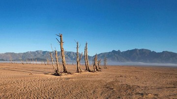 Momentum Global 17 Juni: Soroti Ancaman Krisis Penggurunan Lahan dan Dampak Jangka Panjangnya