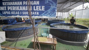 Bekal Mandiri Warga Binaan Lapas Surabaya: Pelatihan Produktif Jadi Kunci Sukses Reintegrasi Sosial