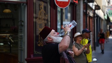 Gelombang panas di Prancis (Foto: REUTERS/Abdul Saboor)