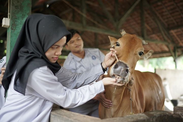 Jurusan Peternakan Bukan Sekadar Kandang, Intip 15 Karier Bergaji Fantastis Lulusannya