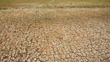Antisipasi El Nino, Banten Siapkan Pompa Air Selamatkan Lahan Pertanian
