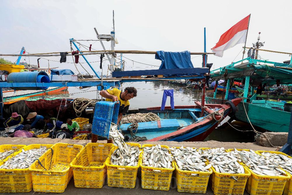 Pekerja memindahkan ikan hasil tangkapan nelayan di Dermaga Pelabuhan Muara Angke, Jakarta, Selasa (9/7/2024). Bisnis/Eusebio Chrysnamurti