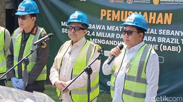 Tegas! 312 Ton Pakan Ternak Ilegal Tercemar Babi Dimusnahkan, Izin Perusahaan Dicabut