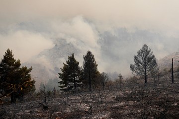 La Mierla Terbakar Hebat: 26.000 Hektare Ludes, Ribuan Warga Spanyol Mengungsi