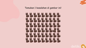 Foto: Asah otak (detikHealth/Daffa Ghazan Pradipta)
