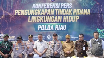 Kapolda Riau Prihatin Pelanggaran Ekologis: 115 Hektare Mangrove Rohil Diperkirakan Lenyap Akibat Alat Berat