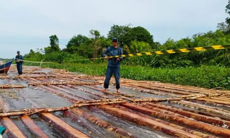 Gakkum Kehutanan Gagalkan Peredaran Kayu Ilegal dan Amankan Ratusan Kayu di Ketapang Kalimantan Barat