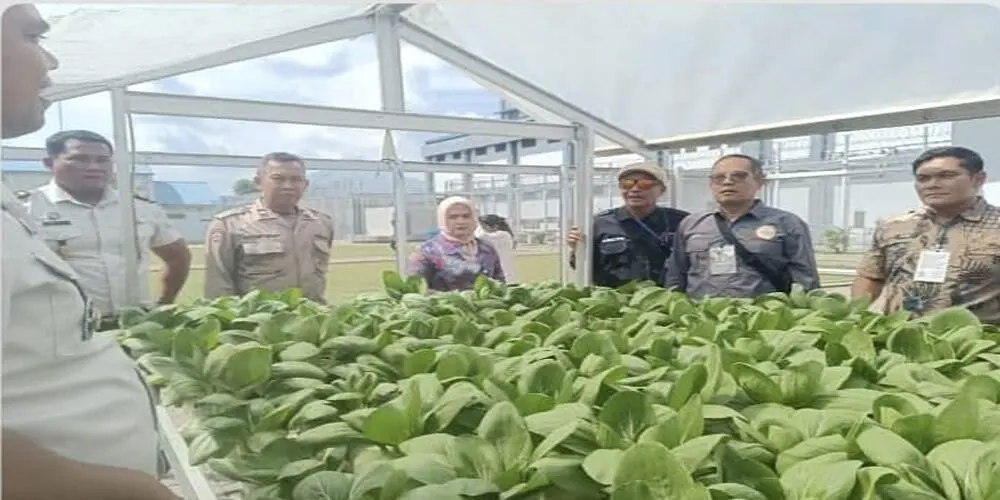Panen Raya Serentak Kemenimipas, Hasil Panen Lapas Binjai Untuk Masyarakat Terdampak Bencana