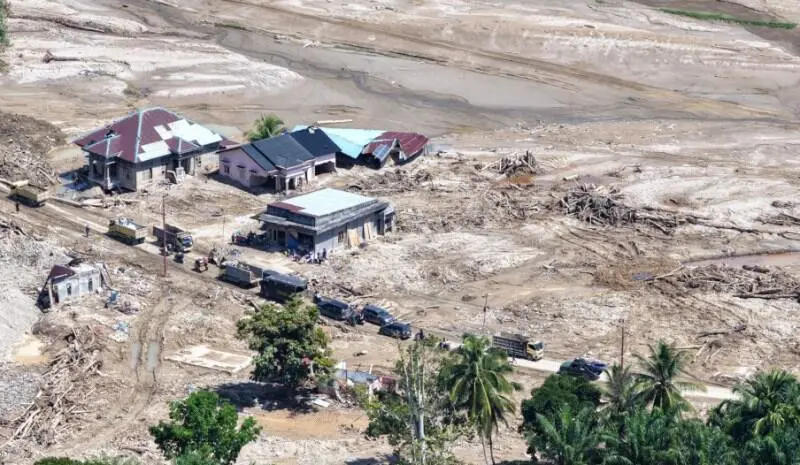 Auriga Nusantara Dorong Penindakan PT TPL Terkait Dugaan Deforestasi di Kawasan Rawan Longsor