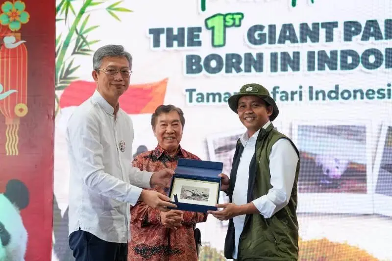 Menhut Umumkan Kelahiran Bayi Panda Pertama di Indonesia dan Diberi Nama oleh Presiden Prabowo