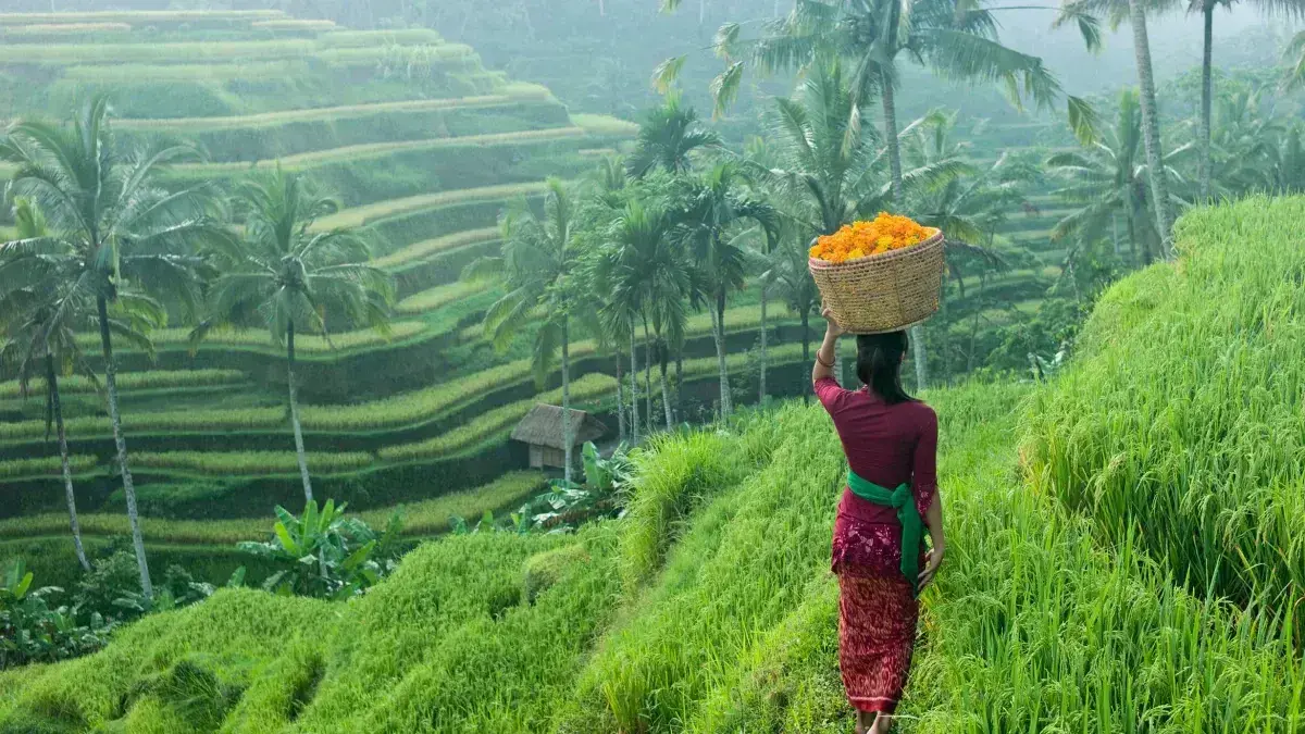 Bule Kere Dilarang Masuk Bali?  Koster Berencana Ubah Arah Pariwisata Pulau Dewata 2026