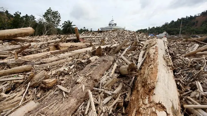 Fatwa Menhut Raja Juli Antoni Ditunggu: Nasib Kayu Gelondongan Aceh Tamiang di Ujung Tanduk!