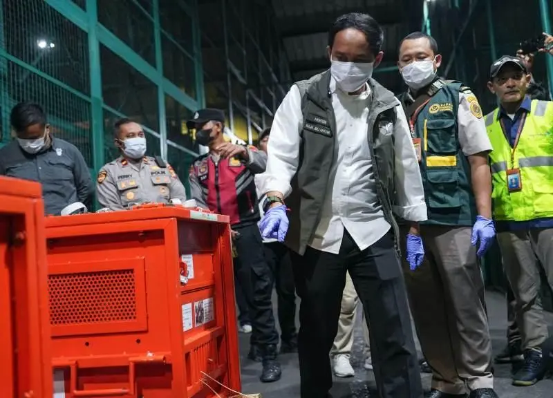 Kemenhut Repatriasi Empat Orangutan Korban Perdagangan Ilegal Satwa Liar dari Thailand