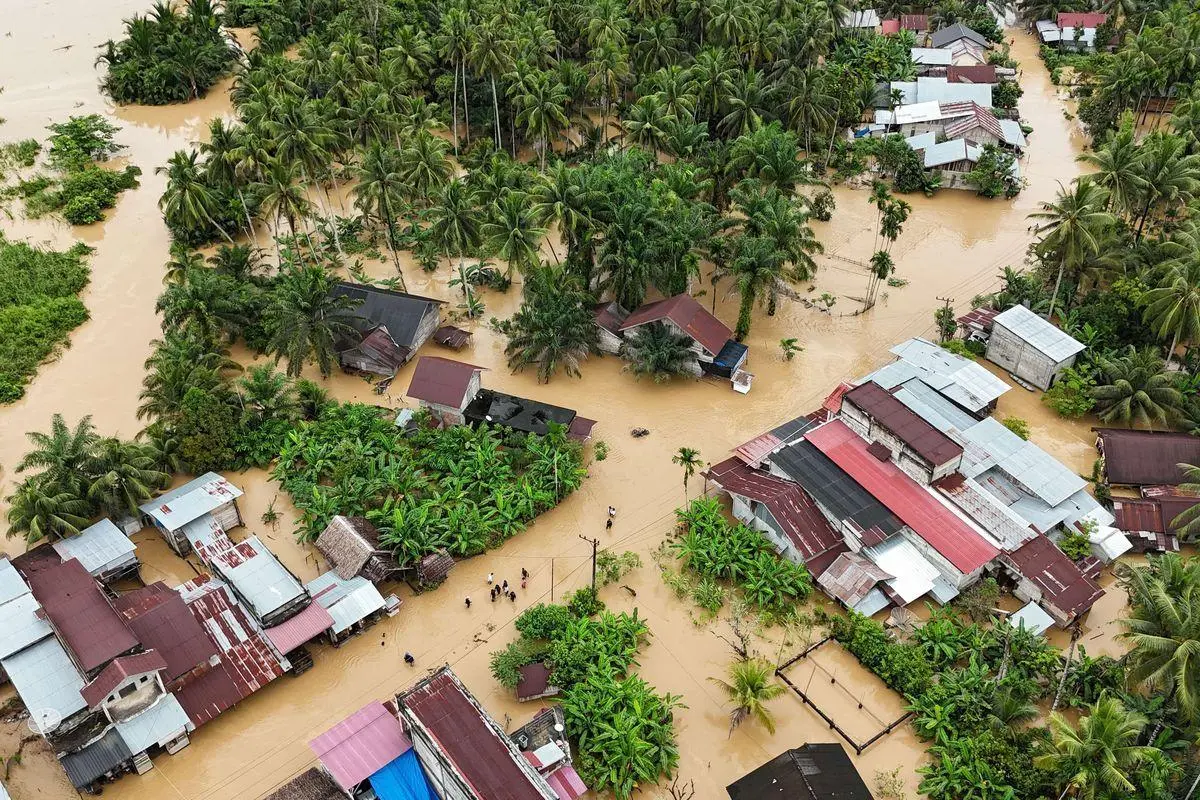 TERUNGKAP! Ini Alasan Pemerintah Libatkan Profesor untuk Usut Banjir Sumatera!