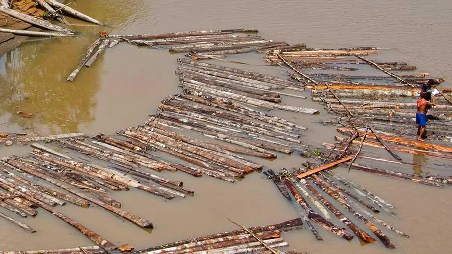 Sumatera Darurat Kayu Ilegal! Kemenhut Bergerak Cepat Amankan Hutan dari Mafia Kayu di Tengah Banjir