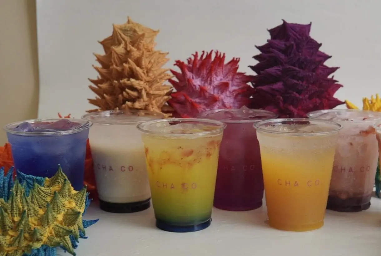 Konsumen RI Kini Berburu Super Drink Fungsional, CEO ChaCo Ungkap Adanya Pergeseran Besar!