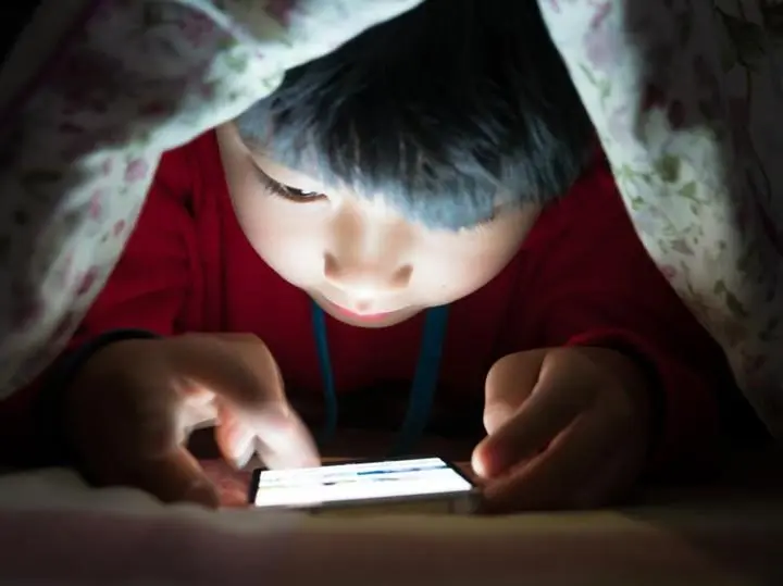 Kurikulum Lokal Jadi Solusi? DPR RI Ajak Sekolah Perangi Game Online!