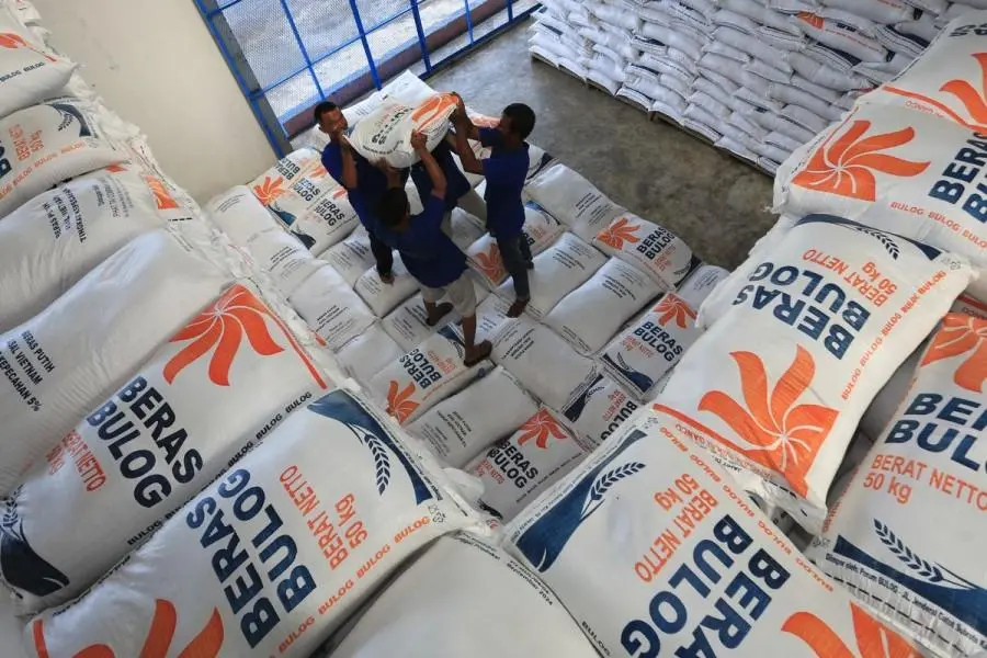 Langkah Berani Bulog: Rp5 Triliun untuk 100 Gudang Baru, Stok Melimpah tapi Risiko Mengintai!