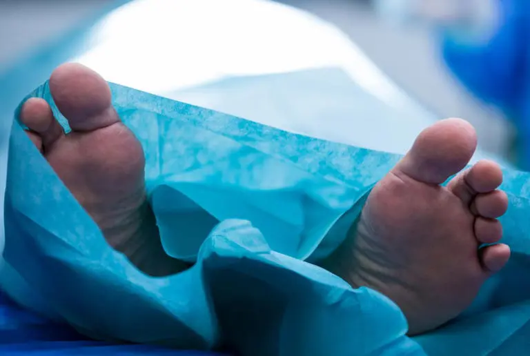 Disiplin yang Berujung Kematian: Menguak Kematian Siswa SD di TTS NTT