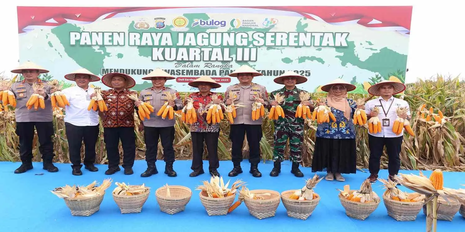 Panen Raya Jagung Kuartal III: Polda Sumut Komitmen Wujudkan Swasembada Pangan