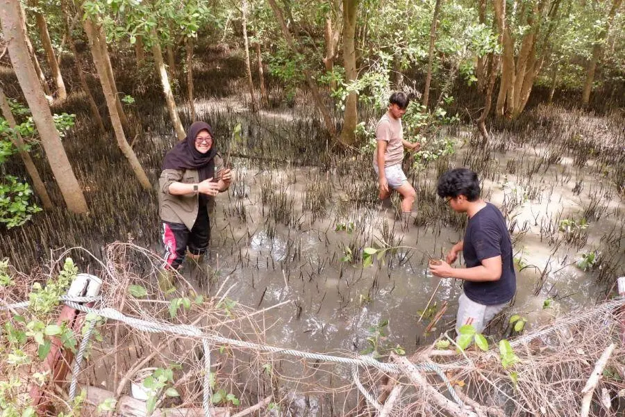 Hijaukan Dunia, Hijaukan Hidup: Kisah Inspiratif Membangun Reputasi untuk Alam dengan Menanam Mangrove ala Mahasiswa ITB