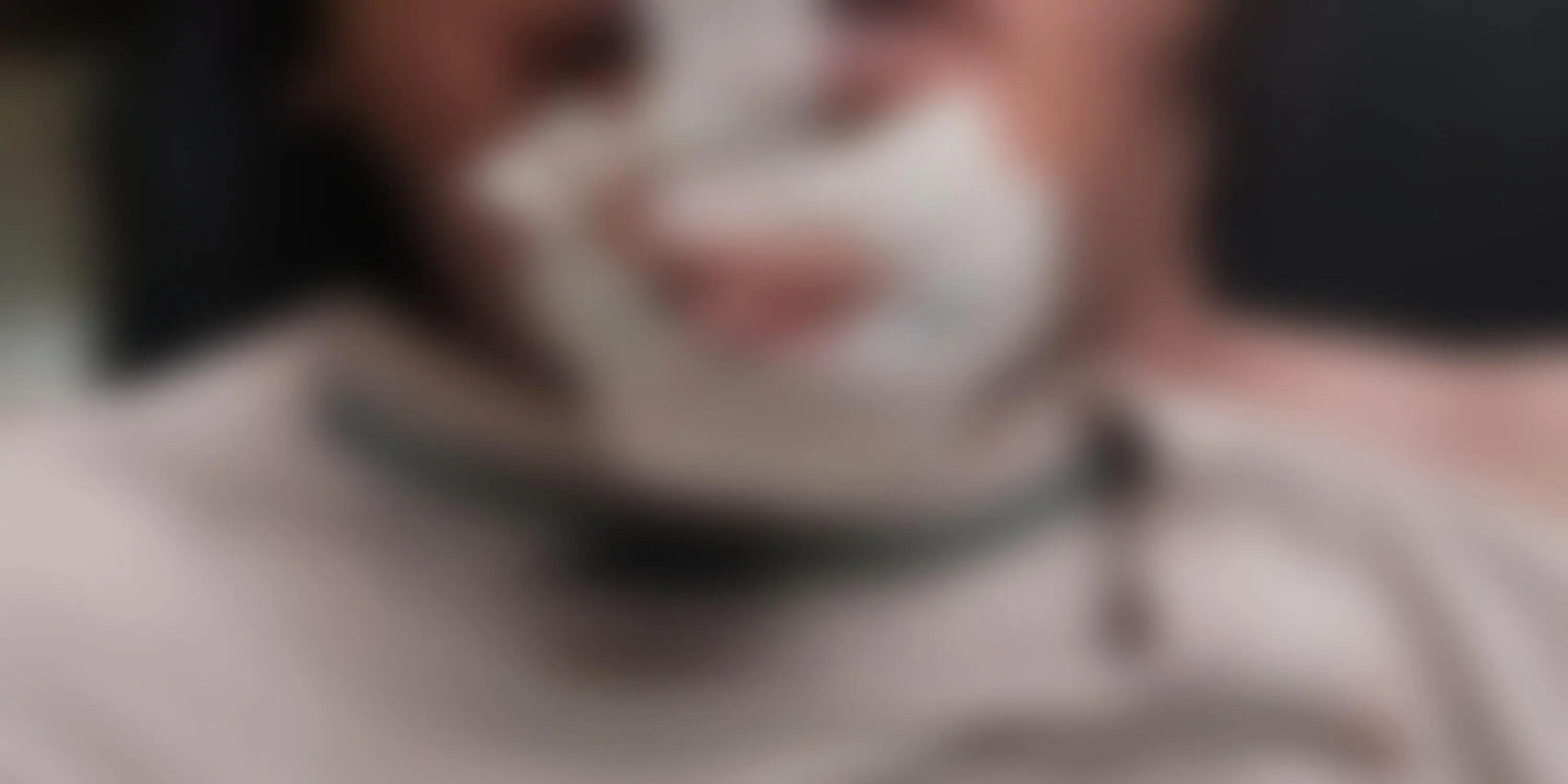 Wartawan Media Online di Medan Ditemukan Meninggal dengan Luka Sekucur Tubuh